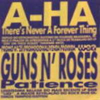 Theres Never A Forever Thing